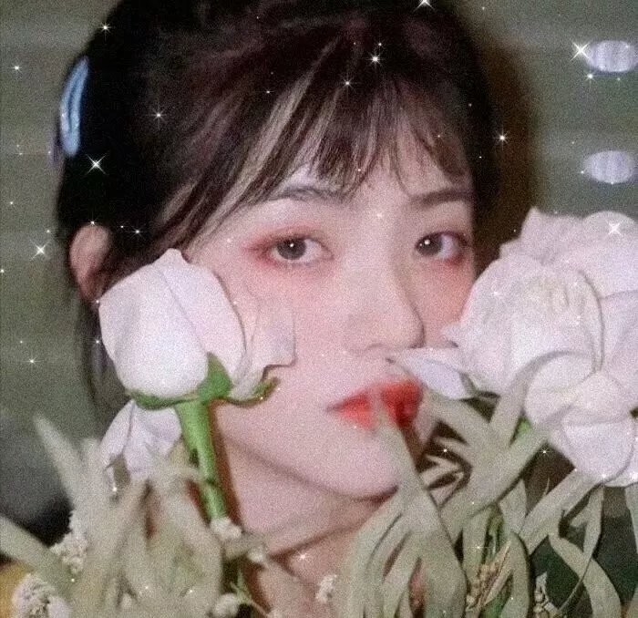 荡妇野玫瑰