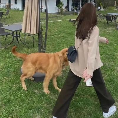说不出口的爱